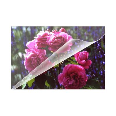 Olympia A5 80 Micron PVC Laminasyon Poşeti 100 Adet